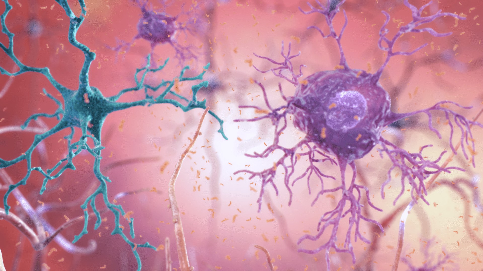 damaged neurons