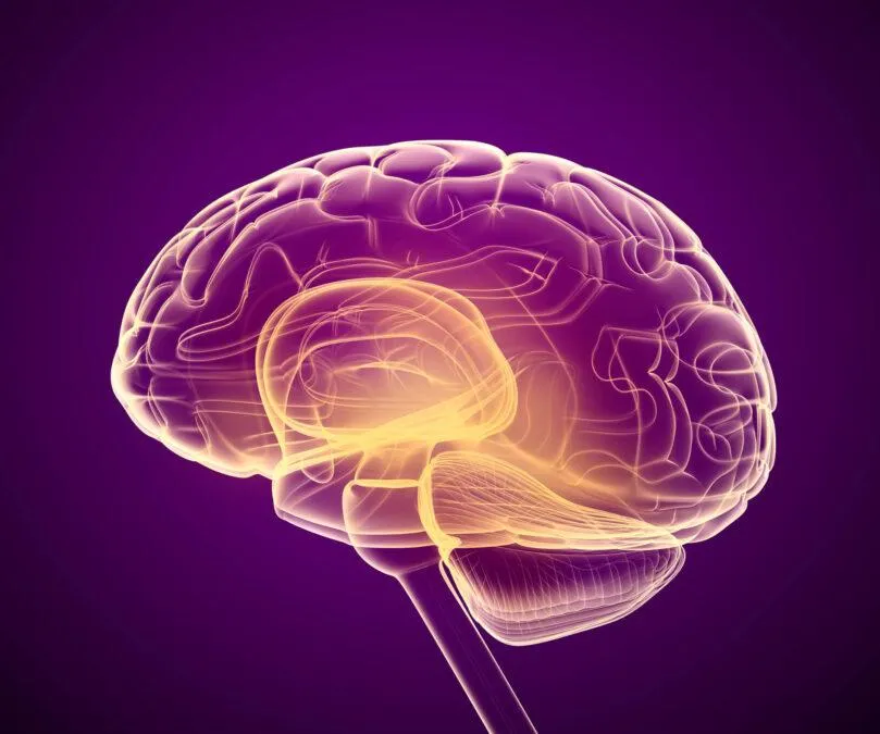 Neurodegenerative Parkinson's disease