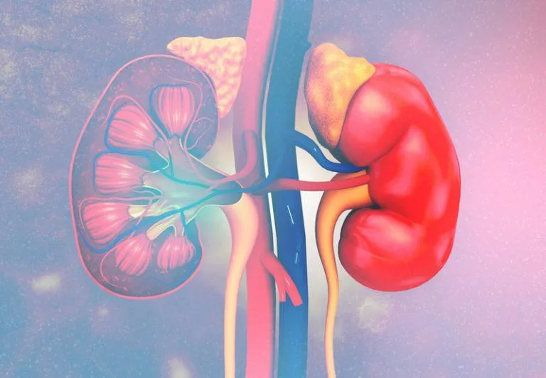 Kidney Disease