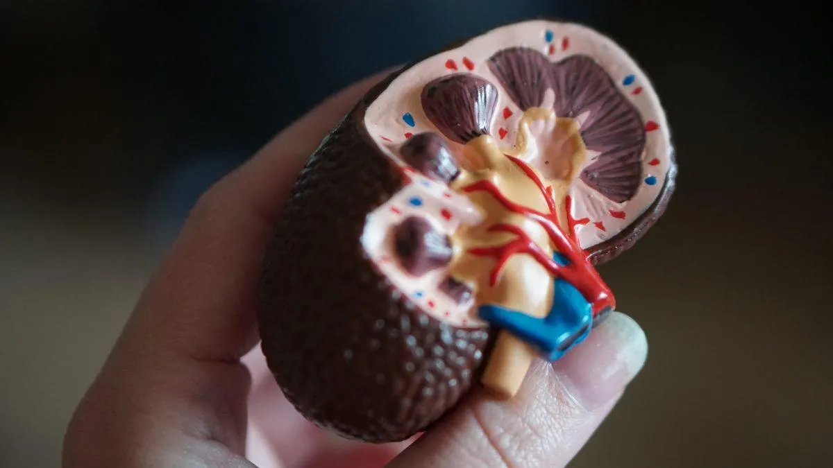 kidney failure