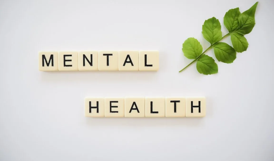 Effects Of Mental Health On Academic Performance 1