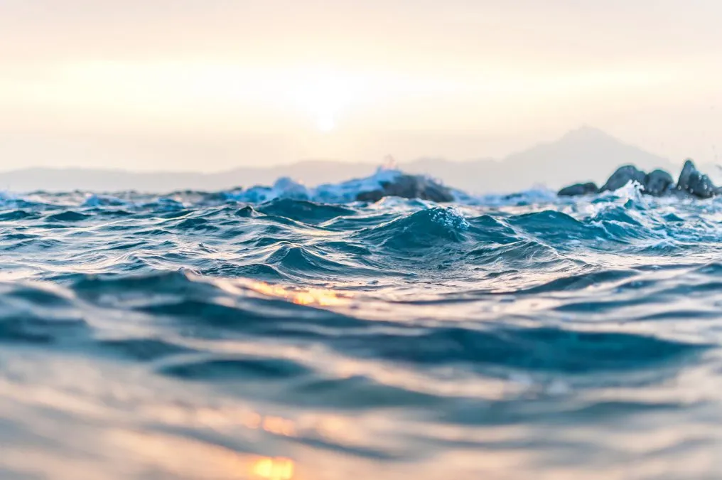 Benefits and Harmful Effects of Water 1