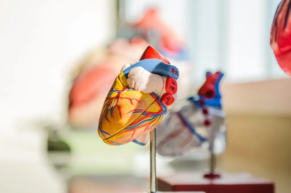 The Emotions of Recovery from Heart Surgery 2