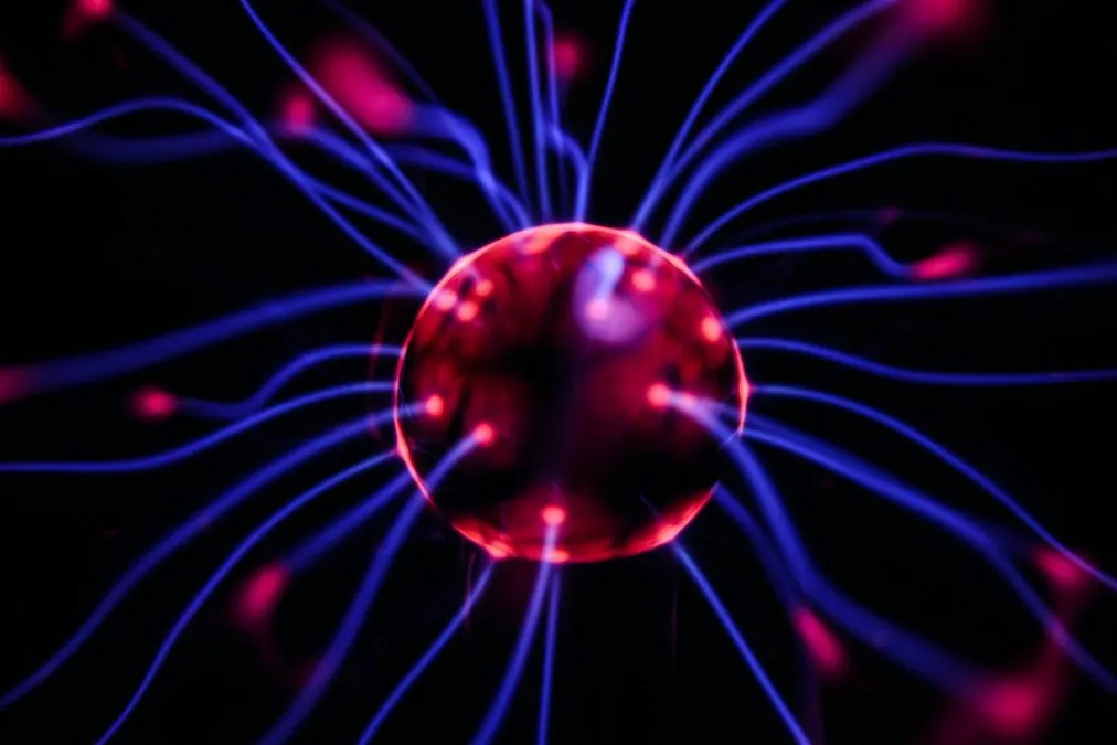 10 Surprising Things You Didn’t Know About Your Brain