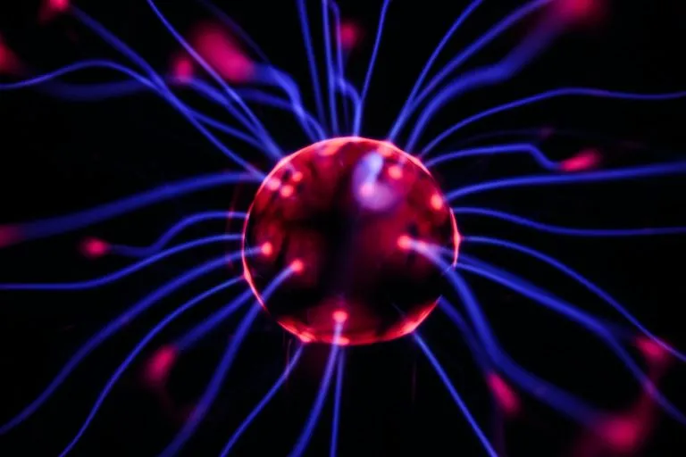 10 Surprising Things You Didn’t Know About Your Brain