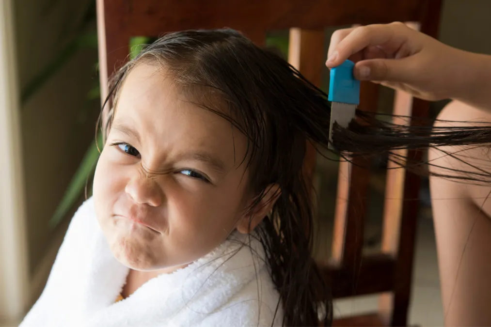 Head Lice Treatment – Naturally and Safely!