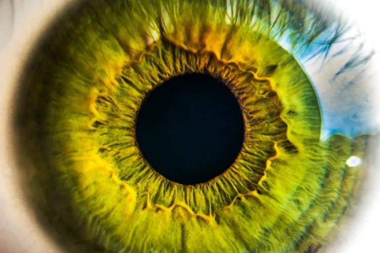 What Is A Stigma In The Eye And How Does It Affect You
