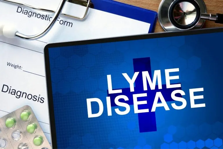 Lyme Disease Symptoms, Treatment, And Prevention