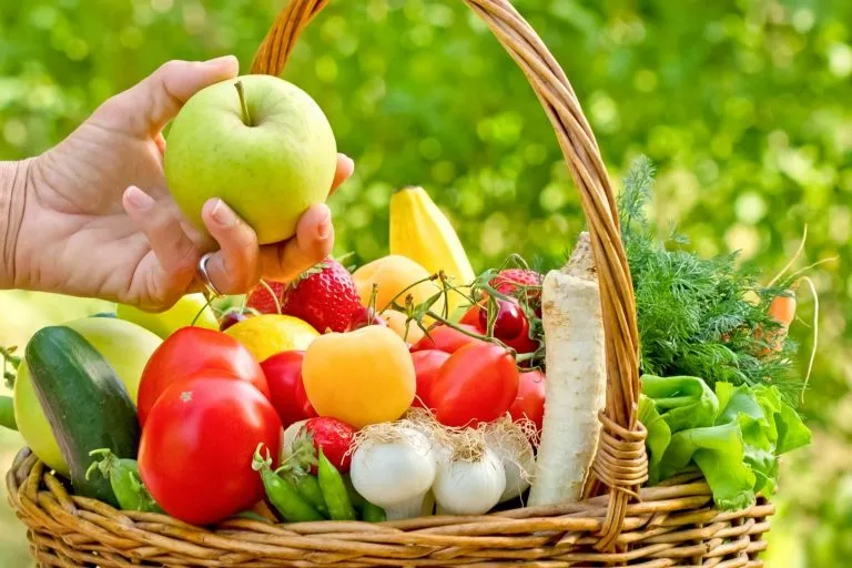 How Do You Know What Foods Is Healthy To Eat