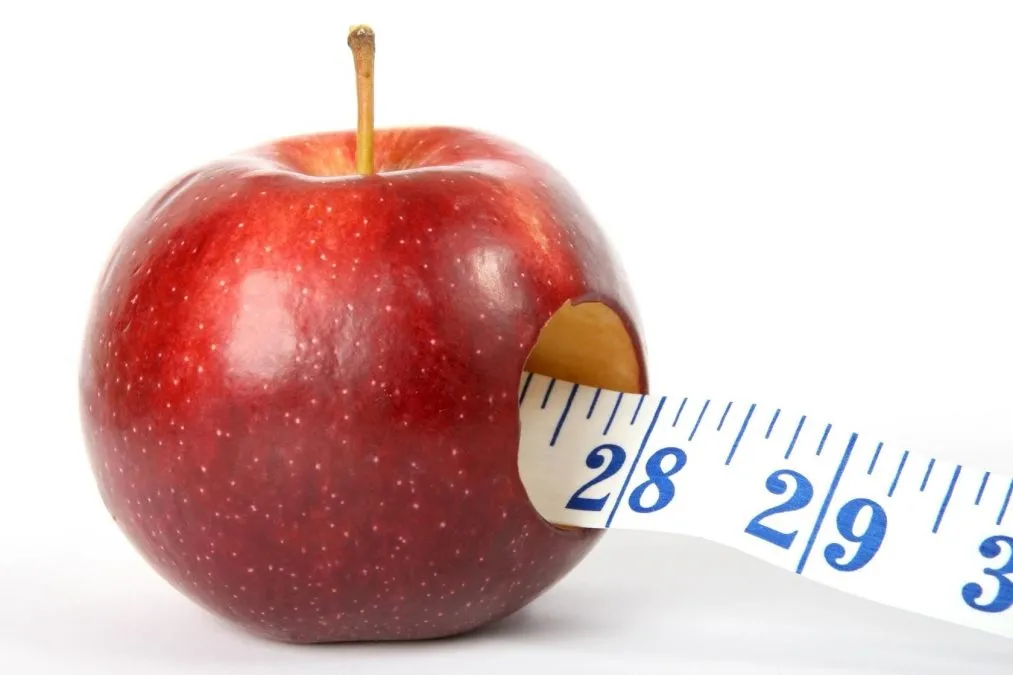 How Many Calories Does The Body Burn A Day