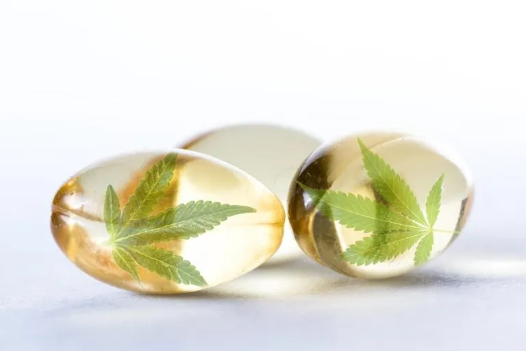Cbd Gummies