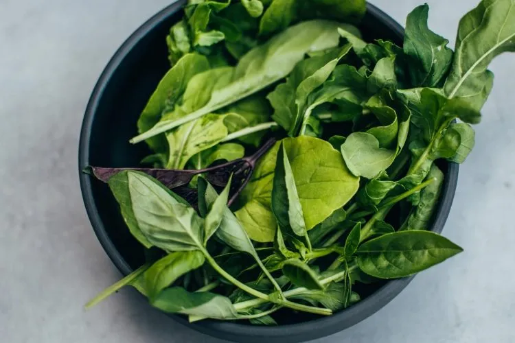 Consume Lean Meat, Avocado, And Leafy Greens.