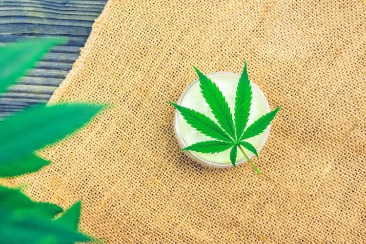 Is There A Difference Between Cbd Gummies And Hemp Gummies