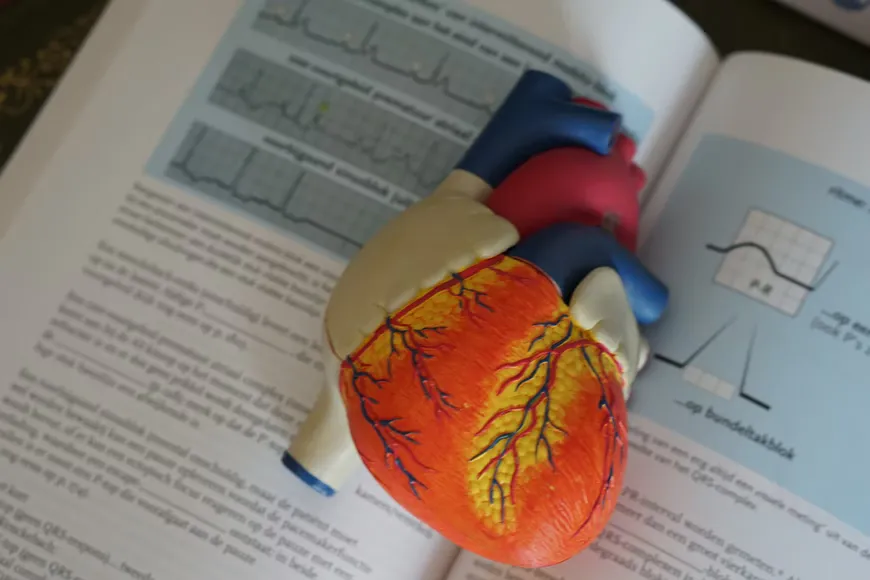 6 Ways to Keep Your Cardiac Health in Check in 2022