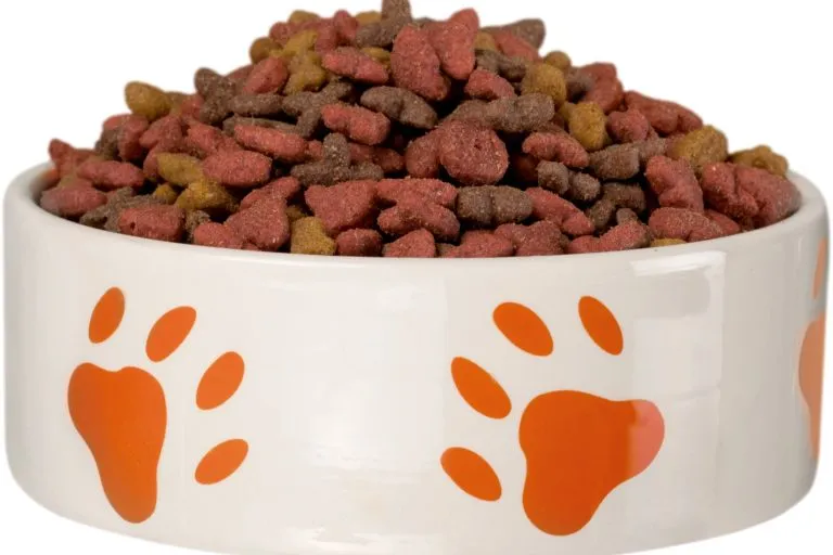 Iams Healthy Digestion Dog Food