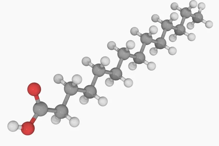Nutritional Fatty Acids