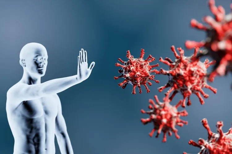 Strengthen The Immune System