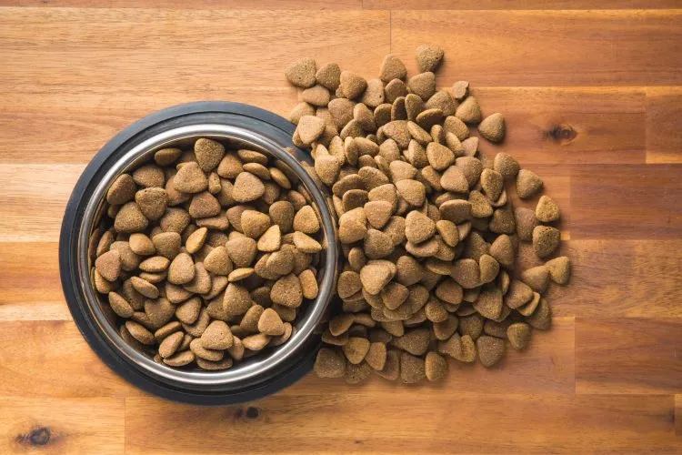 The Protein Of The Finest Currently Available Quality, Packed To The Gills With It