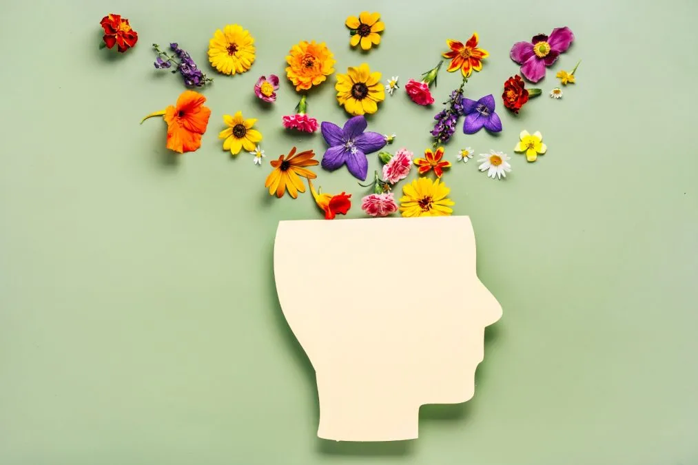 Capital Campaign Mental Health