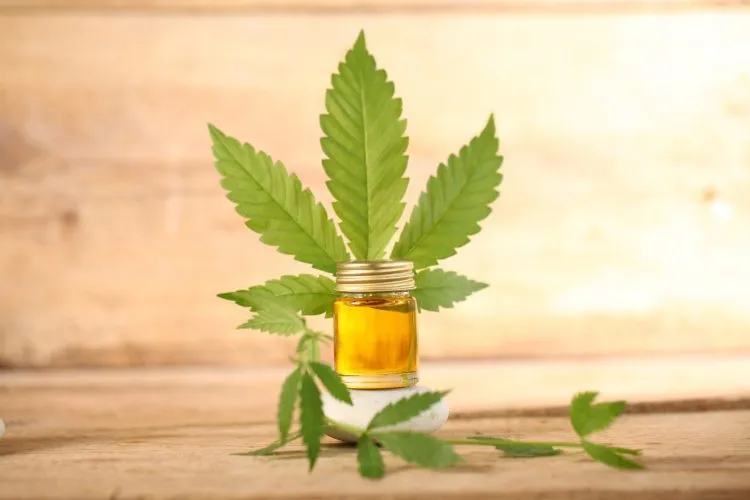 How Many Distinct Varieties Of Cbd Vape Oil Are There Available To Choose From