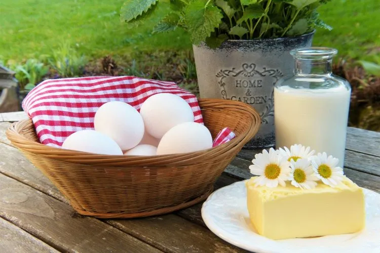 Recipe Ingredients