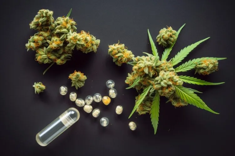 Understanding The Entourage Effect Thc And Thca Working Together